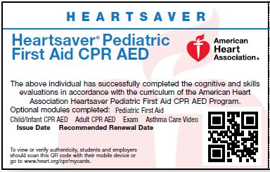 Pediatric First Aid CPR AED Skills Test ONLY